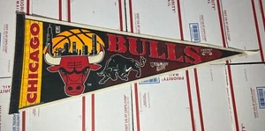 Vintage Chicago Bulls Felt Pennant 1990's Wincraft Chicago Skyline & Logo - Read - Picture 1 of 7
