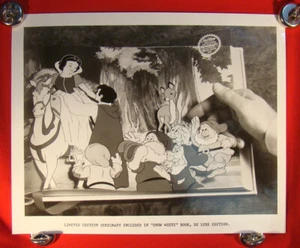LIBRO DE DISNEY BLANCO NIEVE Y LOS SIETE ENANITOS 1978 - FOTOGRAFÍA PUBLICITARIA B&W 8x10 - Imagen 1 de 12