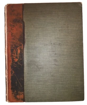 1 of 500, 1904, WILLOBIE HIS AVISA, WITH ESSAY by CHARLES HUGHES, POETRY - Image 1 of 4
