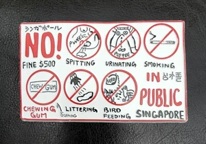 FRIDGE MAGNET SOUVENIR SINGAPORE PUBLIC SPACES PROTECTION ORDER NOTICE RUBBER - Picture 1 of 6