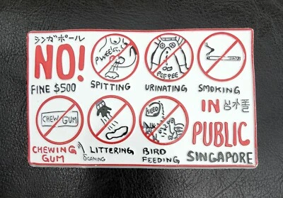 KÜHLSCHRANKMAGNET SOUVENIR SINGAPUR ÖFFENTLICHE RÄUME SCHUTZ ANORDNUNG HINWEIS GUMMI - Bild 1 von 4