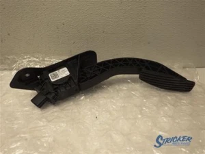 Pedal acelerador SIERRA250 2022 1144178 - Imagen 1 de 12