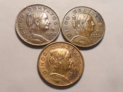 1956 (Mo) 1958 (Mo) 1960 (Mo) BONITO MÉXICO BRONCE 5 CENTAVOS KM #426 ¡JUEGO DE 3 PIEZAS! Foto 1 de 2