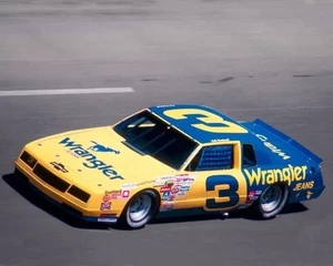 Nascar Racer DALE EARNHARDT - 8" x 10" Photo Print - Picture 1 of 1