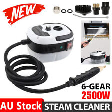 2500W Portable Car Steam Cleaner Fast Heating Steamer Household Cleaning Machine