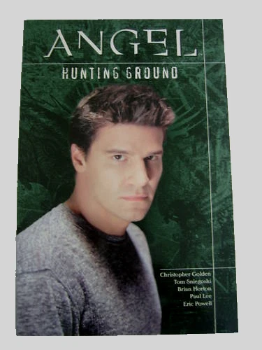 ANGEL - HUNTING GROUND.  GRAPHIC NOVEL. N.MINT, UNREAD. - Изображение 1 из 1