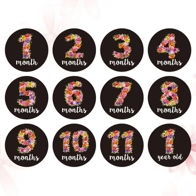  12 PEZZI Adesivi Gravidanza Segno Neonato Mesi dell'Anno Bimbo Allattamento - Immagine 1 di 4