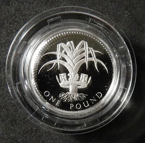 Great Britain 1 Pound, 1990. Sterling silver proof. Case, COA  - Picture 1 of 3