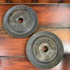 (2) Bilanciere vintage Milo 5 libbre dimensioni standard piastre di peso 10 libbre TOTALE - Foto 1 di 5