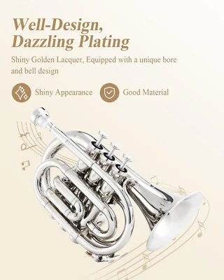 Trompeta B plana para estudiantes principiantes, boquilla trompeta de latón acabado níquel Foto 1 de 4