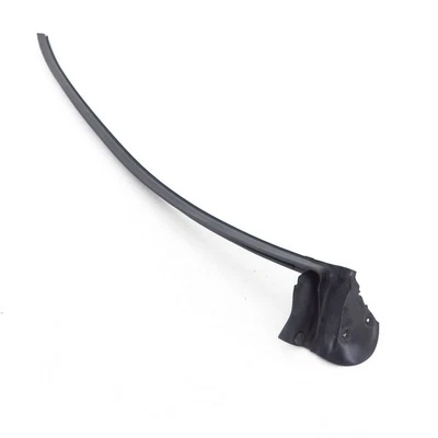 windows seal right Ferrari 360 F430 65544600 luneta puerta Foto 1 de 2