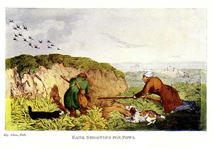 Duck Hunting With Spaniels - Henry Alken Print 1903 - Picture 1 of 1
