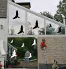 5x Vogel Aufkleber Vogelschutzaufkleber Fensteraufkleber Vogelschutz 9,5x12,5cm