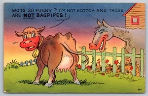 Vintage 1952 Comic Postcard Cow & Donkey Humor Tichnor Bros - Picture 1 of 2