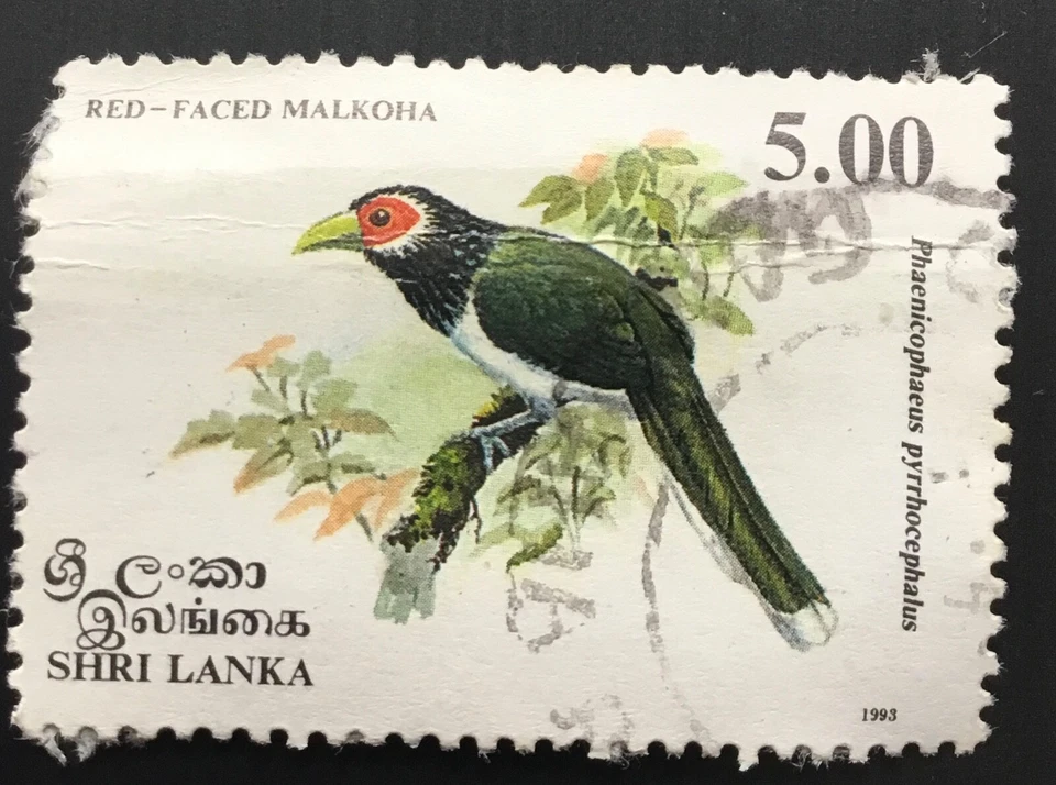Sri Lanka stamps - Red-faced Malkoha  - 5r rupee  1993  Sg:LK 1244 - Image 1 of 1