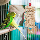  Interessantes Vogelspielzeug Vogelkäfig-Spielzeug Lustiges Schönes Ara-Käfig