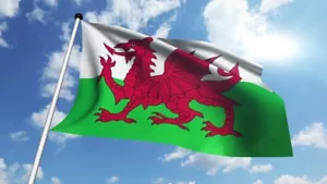 8x5 Fuß WALES FLAGGE walisischer roter Drache Cymru RUGBY 6 Nationen - Beerdigung Sarg Vorhang - Bild 1 von 1