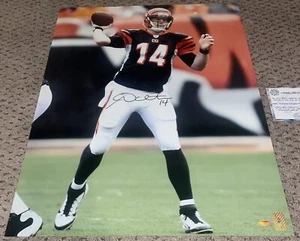ANDY DALTON SIGNED 16X20 PHOTO AUTOGRAPH CINCINNATI BENGALS FOOTBALL - Picture 1 of 1