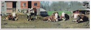 Bookmark     Lazy bulls laying around the farm    hand made    has tassel    #11 - Imagen 1 de 6