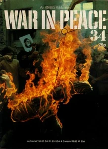 WAR IN PEACE 34 M48 PATTON MBT ISRAEL US ARMY USMC_COLD WAR SPYING_CIA_BAY OF PI - Imagen 1 de 3