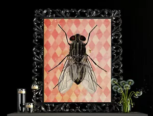 POSTER PRINT Casa Mosche Insetto Mosche su Rosso Giallo Arlecchino Sfondo Gore - Foto 1 di 4
