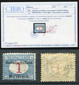 SOMALIA 1906 SEGNATASSE LIRE 1 "MERIDIONALE" MLH* CAT. 8 RRRRR - Foto 1 di 1