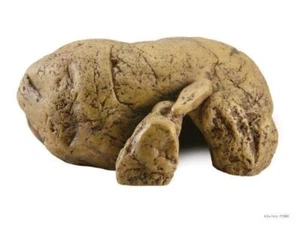 Exo Terra Reptile Cave Medium Snake Lizard Hide Hole (New Model) - Picture 1 of 1