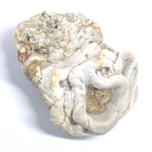 Interessante CHALCEDON Rosette ca. 38 x 31 x 15mm Chalcedonrose BRASILIEN 2403 - Bild 1 von 6
