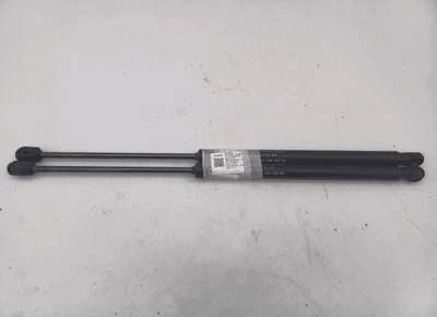 8731F8 Amortiguador De Tapa Trasera Izquierda PEUGEOT 307 2.0 HDi FAP SW - Imagen 1 de 4