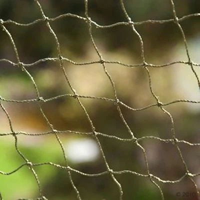 Katzenschutznetz 3M breit Drahtverstärkt odTransparent mit Befestigungsmaterial  - Bild 1 von 4