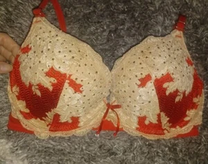 Vs Vintage Very Sexy Nieten Bestickt Push Up BH 32D Neu  - Bild 1 von 4