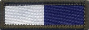 Parche tejido Royal Signals TRF militar ejército británico 6,3 cm x 2,1 cm - Imagen 1 de 1
