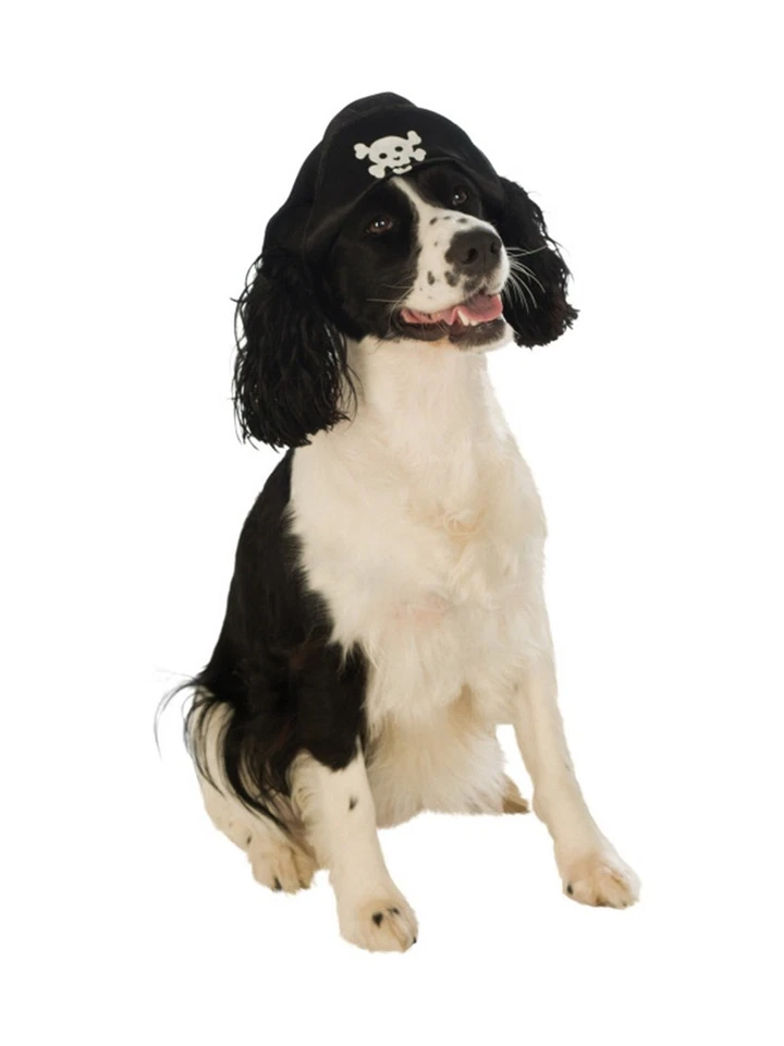 Pequeño Mediano Fieltro Negro Calavera Huesos Cruzados Piratas Niño Sombrero Para Mascota Perro Foto 1 de 1