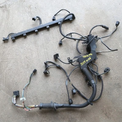 BMW E46 330I 325I 320I M54 2005 bloque de motor cableado telar arnés Foto 1 de 4