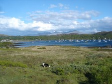Photo 6x4 Saideal na Ceapaich Arisaig/Arasaig The north shore of Saideal c2007