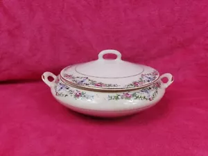 VINTAGE antico modello ROSE piatto coperto Tureen TST Iona China Taylor Smith T - Foto 1 di 12