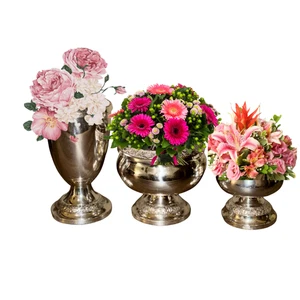 Silver Flower Vases with Frogs –Set of 3 or Choose Individual Size - Picture 1 of 16