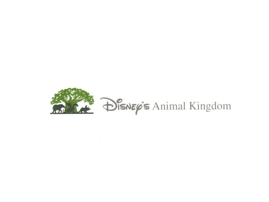 Набор из 10 пустых карточек Walt Disney's Animal Kingdom Animals Tree - Изображение 1 из 2