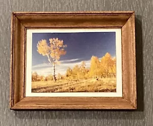Vintage 3” Miniature Landscape Photo Quaking Aspen Tree Field Wooden Frame OOAK - Picture 1 of 9