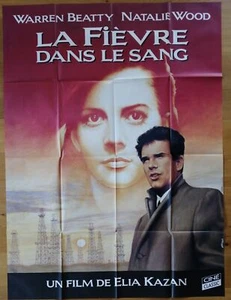 FIEVRE DANS LE SANG natalie wood affiche cinema originale 160x120 R - Photo 1/1