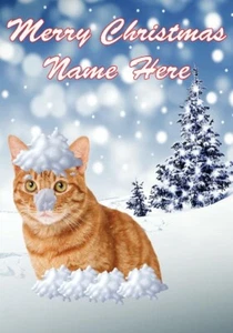is52 Ginger Cat Fun in the outdoors Snow Christmas greetings Card personalised f - Picture 1 of 1