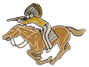 aa96★Indio a caballo parche imagen para planchar aplicación parche parche 10 x 7,6 cm - Imagen 1 de 1