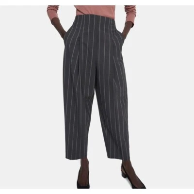 Theory Women NWT Good wool CL pleat Carrot pants, gray/ white stripes, Size 6 - Изображение 1 из 4