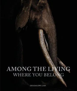 Among the Living: Where You Belong - Picture 1 of 1