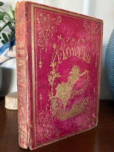 1849 - The Flowers Personified by N. Cleaveland & Grandville 27 Engravings - Picture 1 of 19