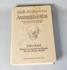 1927 Human Anatomy Atlas Skull Ferdinand Hochstetter Ilustrated Medicine Book - Bild 1 von 17
