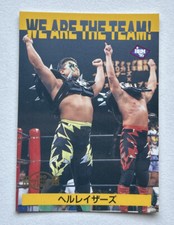 1995 BBM Pro Wrestling We are the Team Hellraisers #187