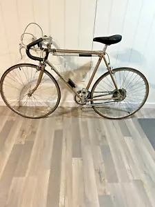 Vintage 12 Speed Shogun 12 speed road bike Will ship - Picture 1 of 16