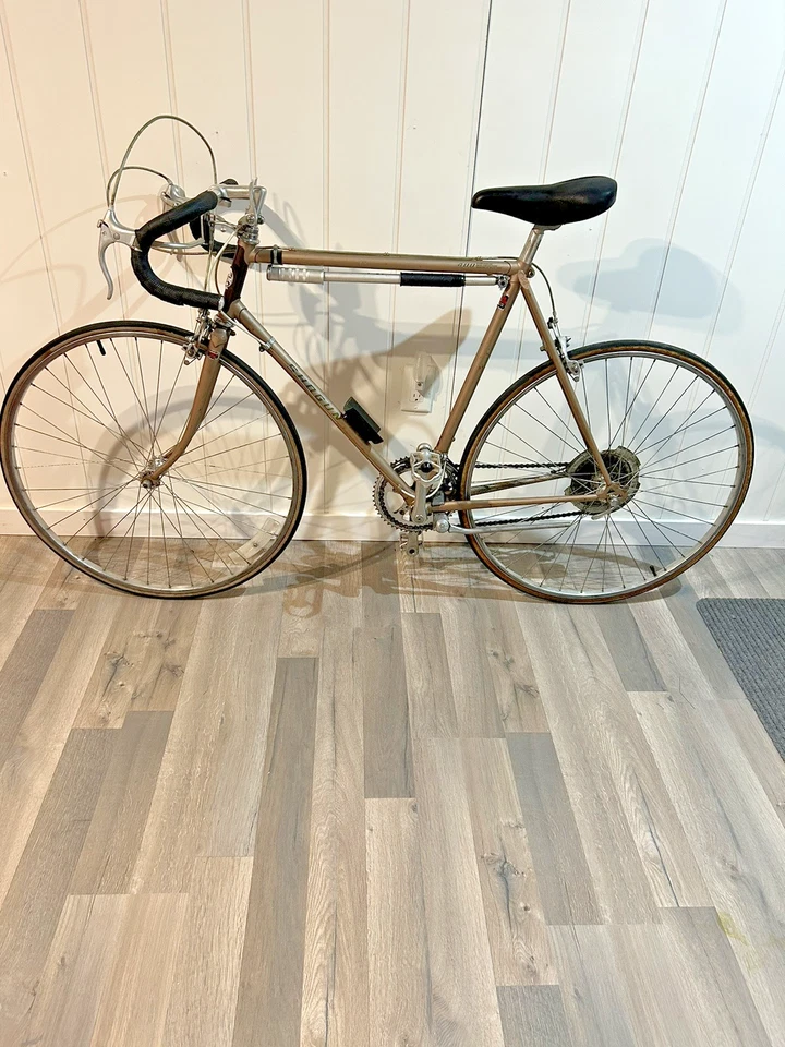 Bicicleta de carretera Shogun de 12 velocidades de colección se enviará Foto 1 de 4