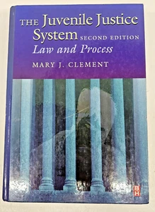 The Juvenile Justice System, Second Edition: Law and Practice 2nd Edition - Imagen 1 de 4